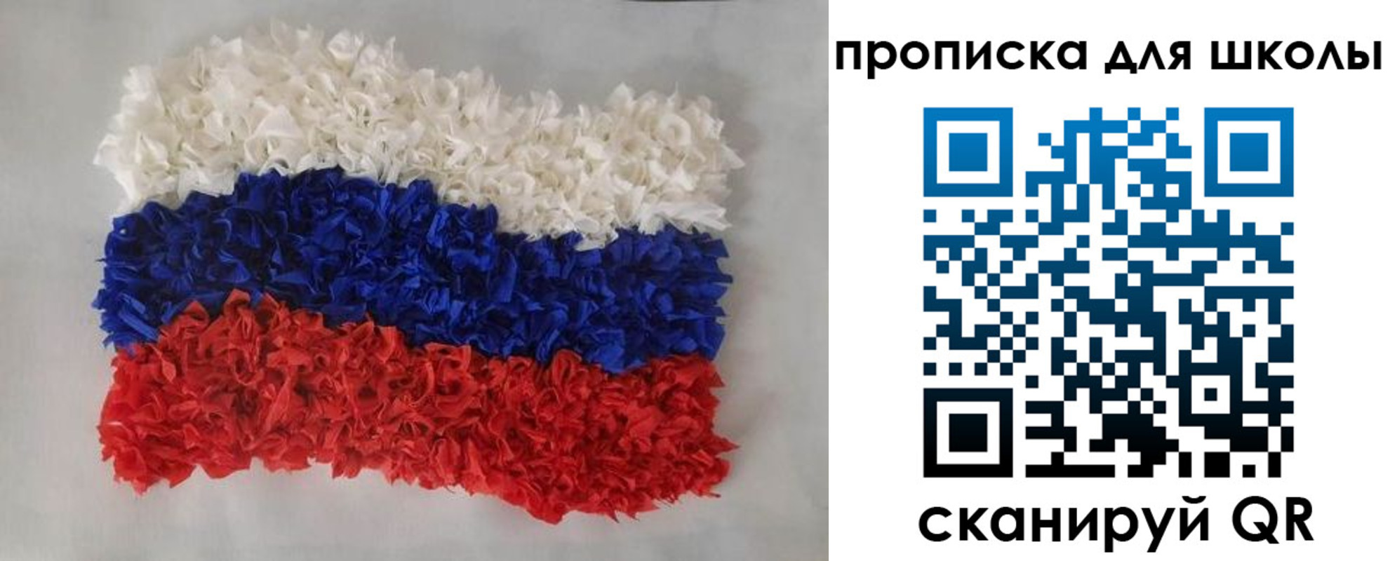 временная регистрация собственник в Елизово