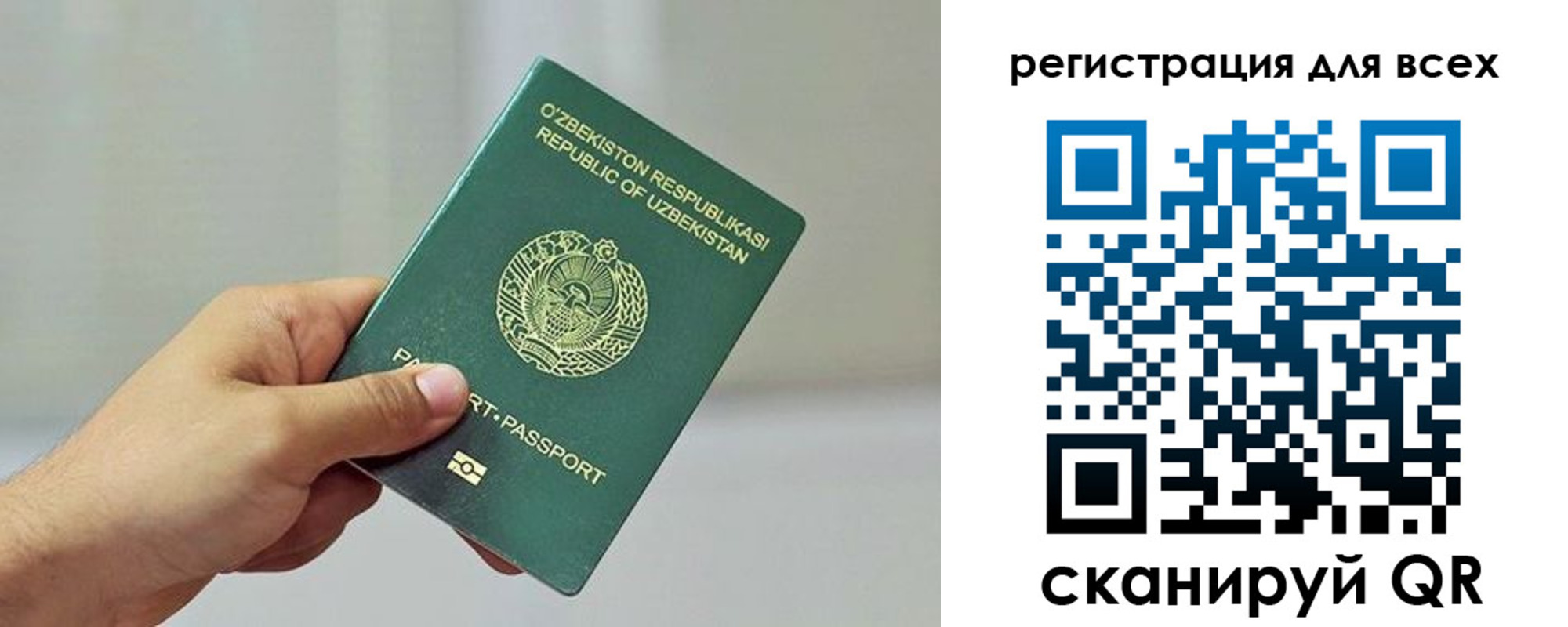 временная регистрация поиск в Елизово