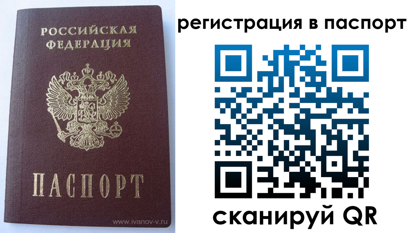 прописка поиск в Елизово